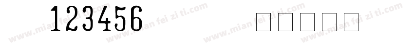NO123456 regular字体转换
